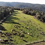 Casa rural Brugarolas Village Castelltercol